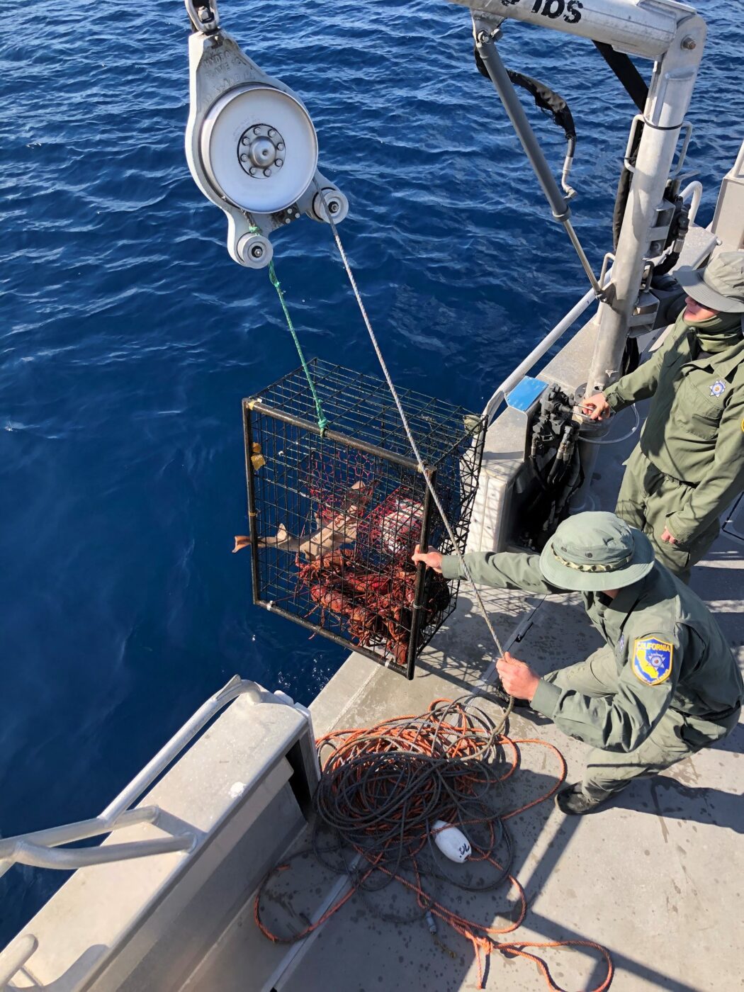 Commercial Lobster Suspect Convicted ff Poaching in Marine