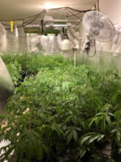 Riverside County Task Force Investigates Suspected Illegal Marijuana Grow House