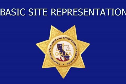 CSLEA Members Attend Site Rep Class via Video Conference