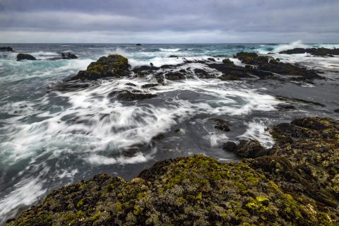 State Parks Responds to Report of Woman Swept into Ocean by Large Wave