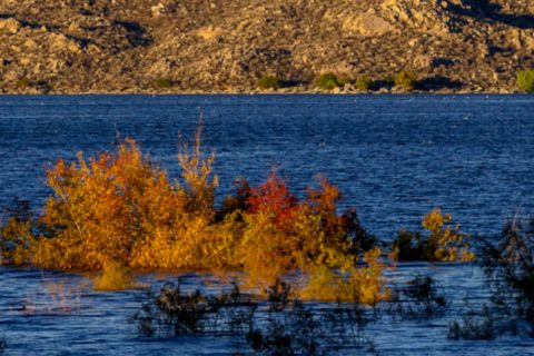 State Park Rangers Respond to Capsized Kayak at Lake Perris