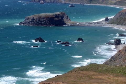 Husband and Wife Plead to Charges for Operating an Illegal Fish Business Out of Their Home