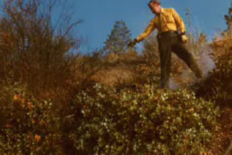 PCSO Requests Assistance in 1972 Cold Case Homicide