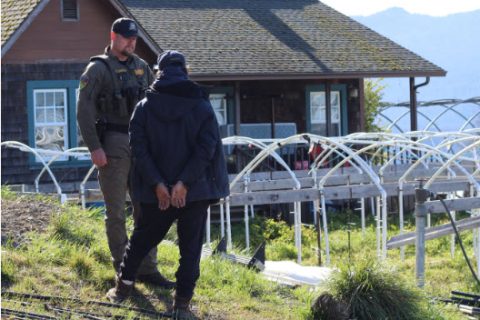 One Arrested and One Rescued in Humboldt County Marijuana Enforcement Team Operation