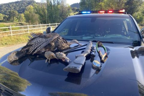 CDFW Arrests Person Suspected of Hunting Out of Season