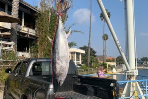 Settlement Reached Following CDFW Investigation into Unlawful Commercial Fishing Tied to a Venice Restaurant